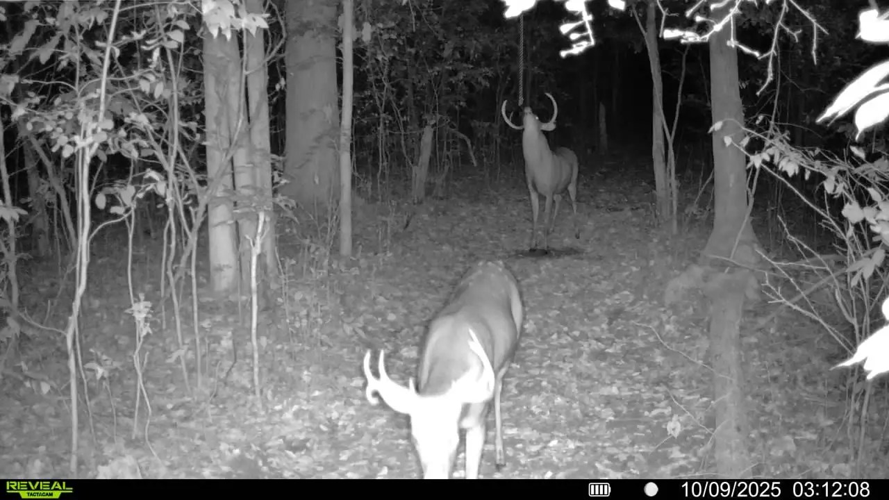 hemprope | Whale-Tales Archery